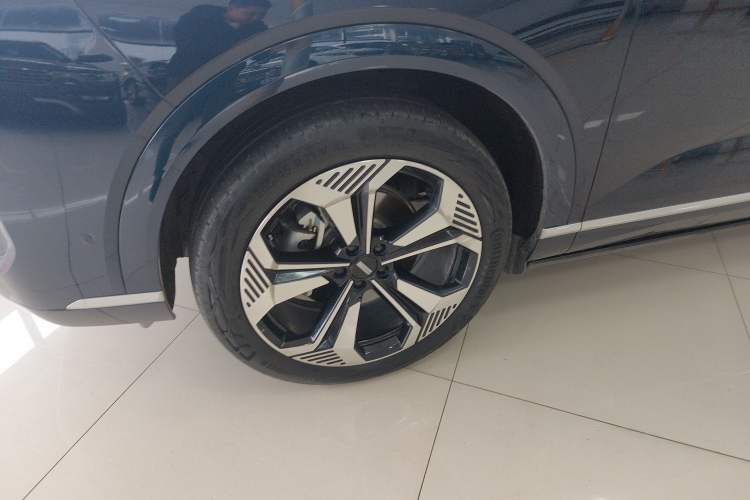 Used Wey Lanshan 2023 Four-Wheel Drive Ultra-Long Range Version
