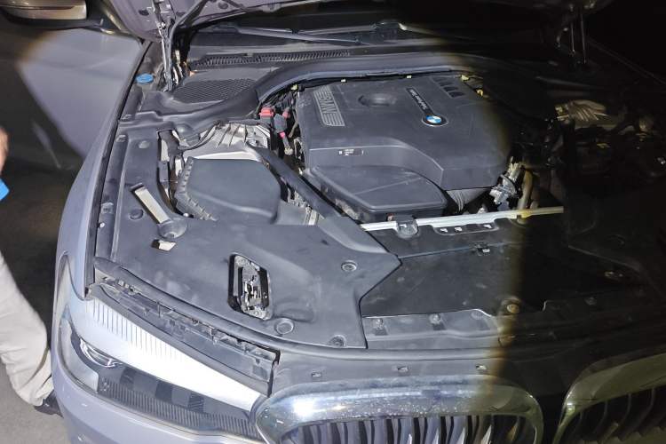 Used BMW 5 Series 2018 528Li Launch Special Edition
