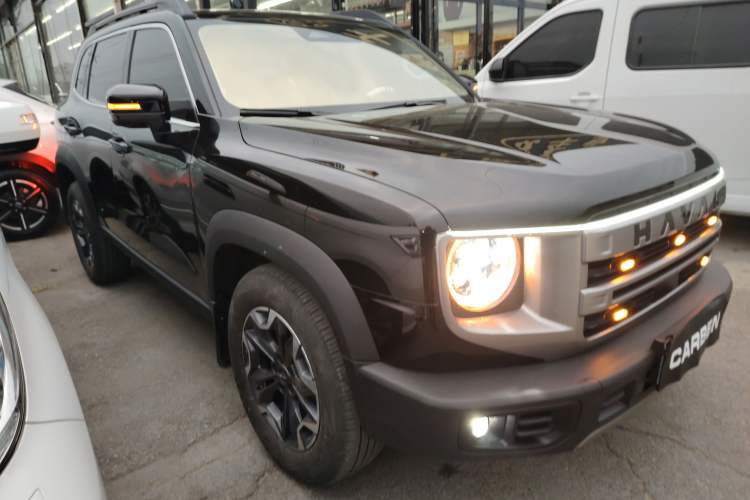 Used Haval DARGO 2024 2.0T DCT Chinese Rural Dog Edition
