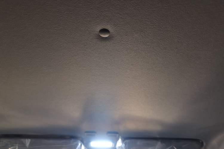 Used  Panda 2024 Panda Mini 200km Endurance Bear
