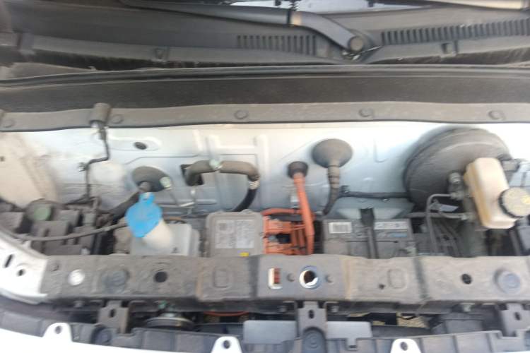 Used  Panda 2024 200km Panda Rider
