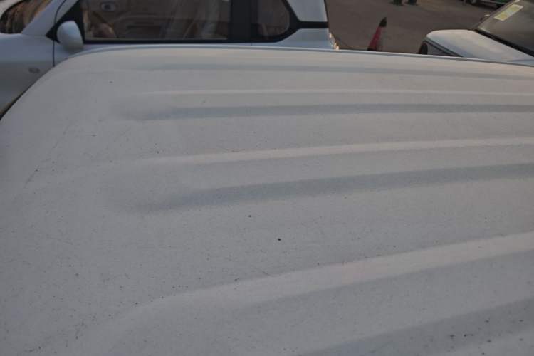 Used  Panda 2024 Panda Mini 200km Endurance Bear