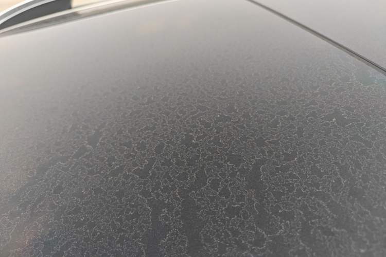 Used Roewe RX5 2016 20T Two-Wheel Drive Automatic Flagship Edition
