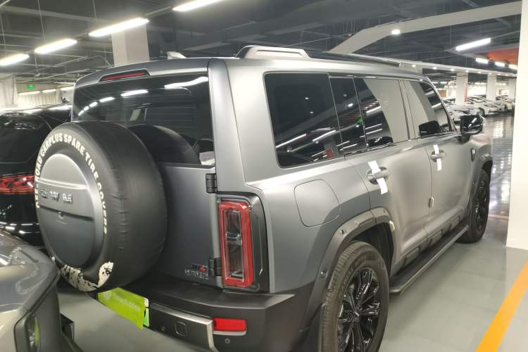 Used Haval Raptor New Energy 