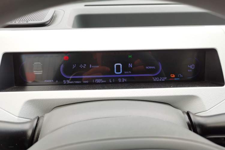 Used  Panda 2024 200km Panda Kart