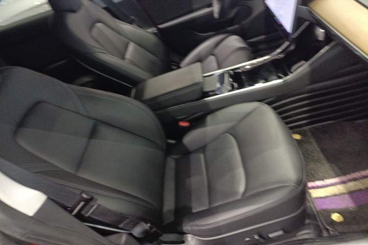 Used Tesla Model 3 2020 Revised Version Standard Range Rear-Wheel Drive – Upgraded Edition
