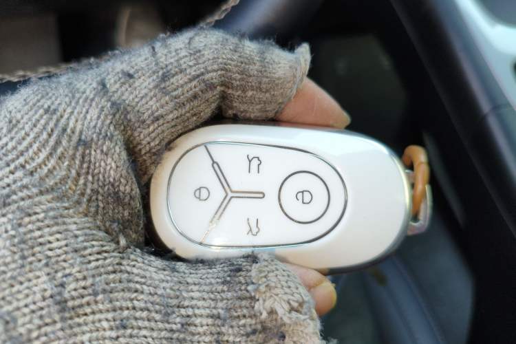 Used  Geome 2025 310km Dream Edition
