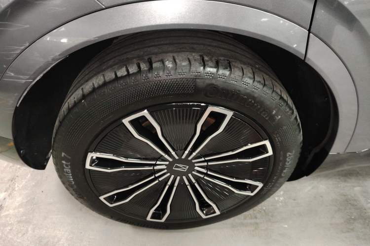 Used  07 2024 Max Extended-Range Edition
