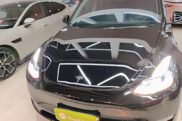 Used Tesla Model Y 2021 Long-Range All-Wheel-Drive Version