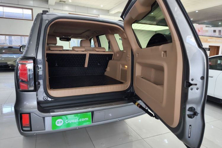 Used  BJ60 Leiting 2024 Magic Electric Drive Advanced Version 5 Seats