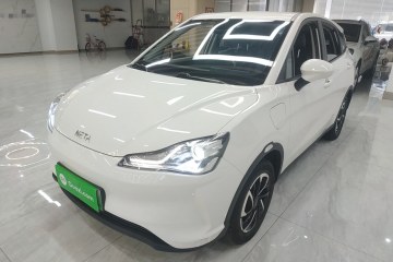 Used NETA V 2021 Long-Range Entertainment Edition Upgrade Model