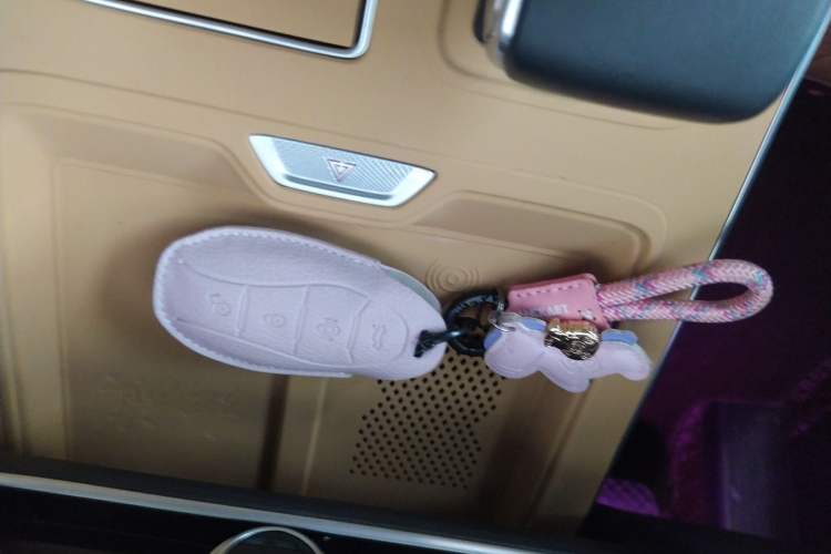 Used Hongqi HS5 2023 2.0T Four-Wheel Drive Flagship Pro Edition