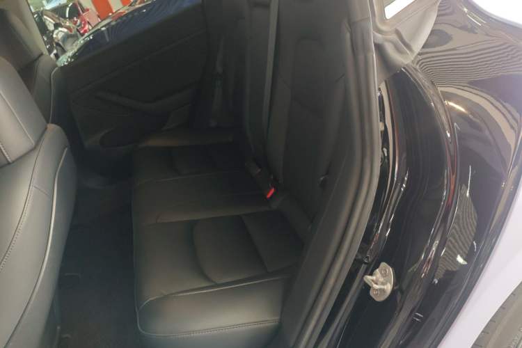 Used Tesla Model 3 2021 Standard Range Rear-Drive Upgraded Version