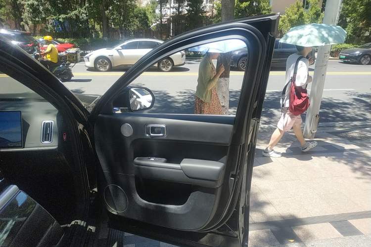 Used Li Auto L9 2023 Pro Model
