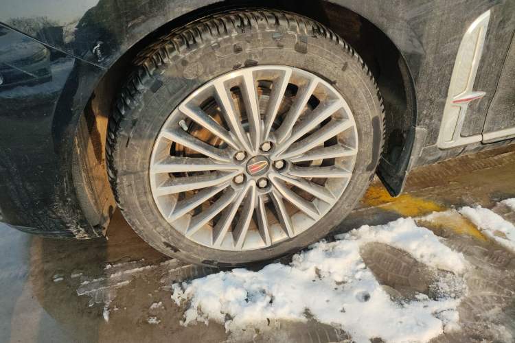 Used Hongqi H9 2022 2.0T Smart Connect Flagship Edition
