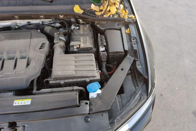 Used Volkswagen Magotan 2021 330TSI DSG 30th Anniversary Edition