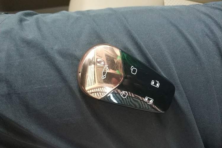 Used VOYAH Dream 2024 PHEV Extended-Range Premium Edition