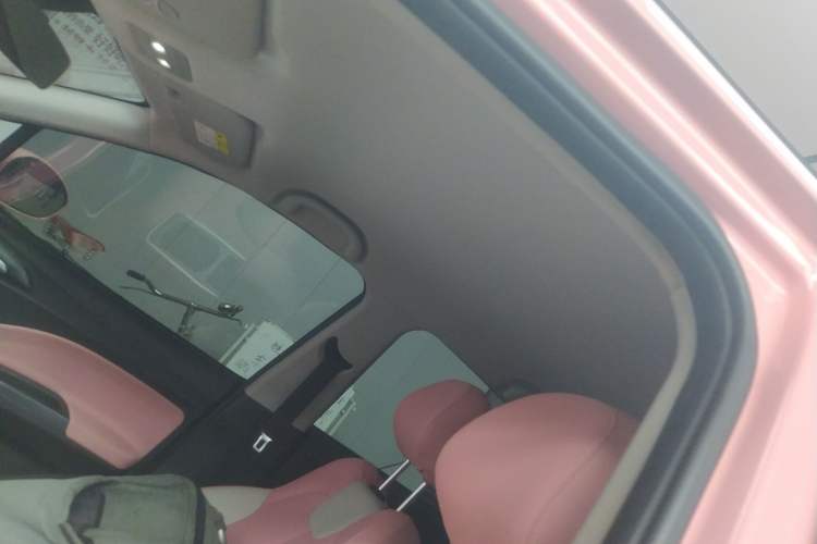 Used NETA V 2022 Chao 400 Lite Pink Custom Edition
