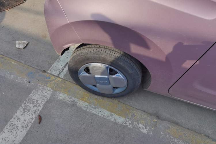 Used  Panda 2024 Panda Mini 200km Endurance Bear