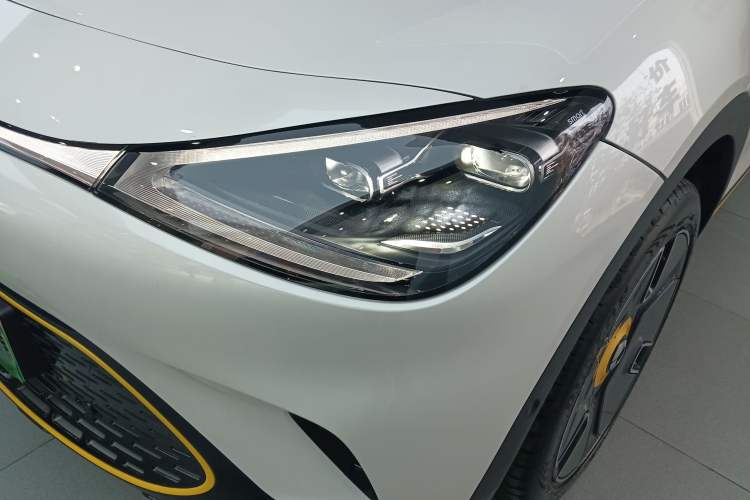 Used  #1 2024 Premium Edition