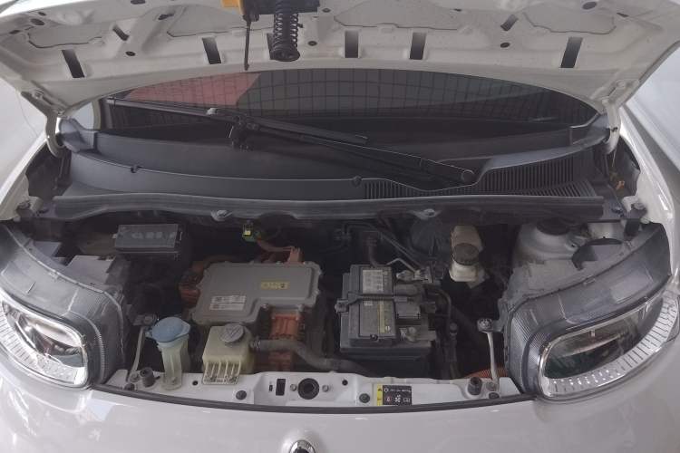 Used ORA White Cat 2020 305 km Luxury Version
