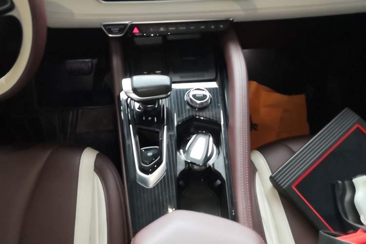 Used Geely Auto Monjaro L 2021 2.0TD DCT EVO Two-Wheel Drive Prestige Version
