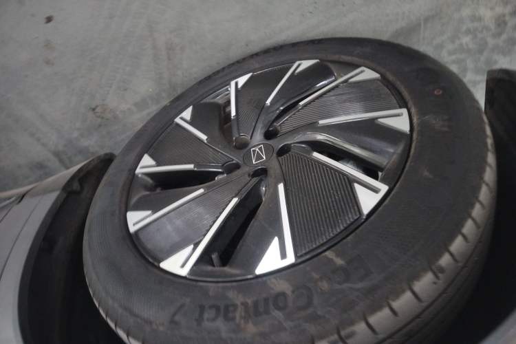 Used  07 2024 Max Extended-Range Edition
