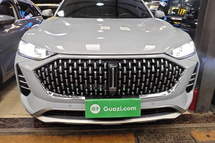 Used Wey Mocha 2021 2.0T Two-Wheel-Drive Ultra-Strong Version
