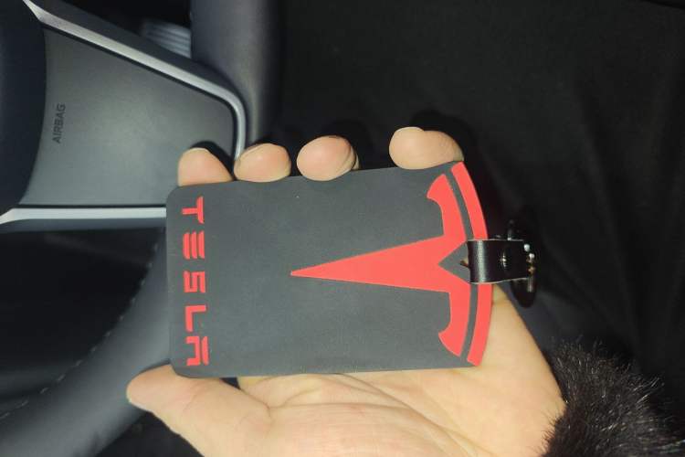 Used Tesla Model Y 2023 Rear-Wheel-Drive Version
