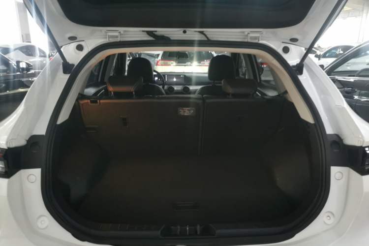 Used FORTHING T5 EVO 2024 Kungbiao Edition 1.5TD DCT Platinum Model