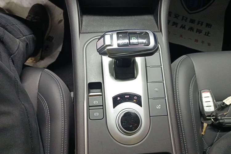 Used Great Wall Poer 2019 2.0T Automatic Gasoline 4x4 Comfort Edition GW4C20B