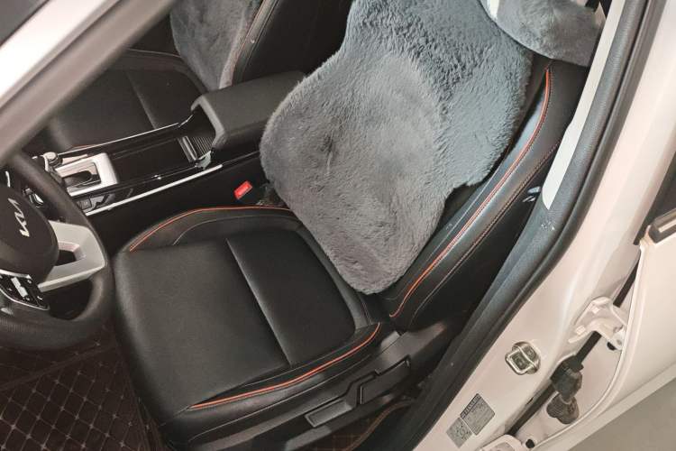 Used Kia Seltos 2023 1.5L CVT Luxury Edition
