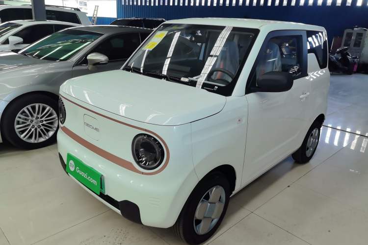Used  Panda 2024 Panda Mini 200km Endurance Bear