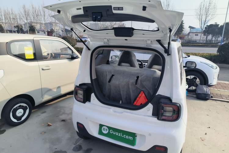 Used  Panda 2024 Panda Mini 200km Endurance Bear
