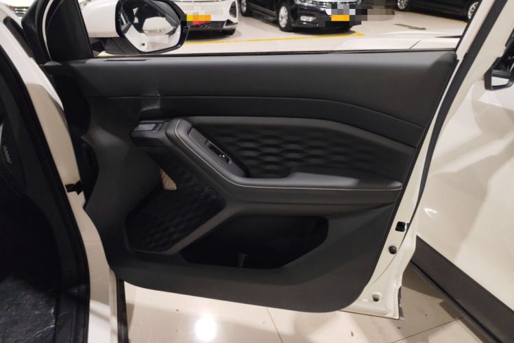 Used Wuling Xingyun 2023 2.0L DHT Flagship Edition
