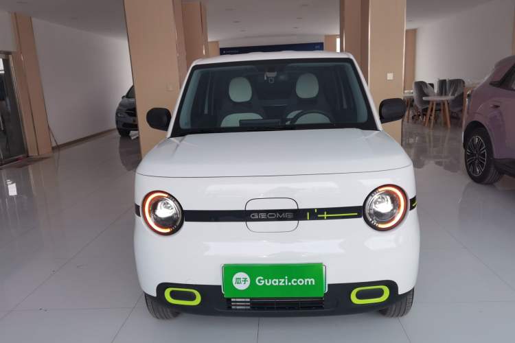 Used  Panda 2025 210 km – Yuanqi Bear
