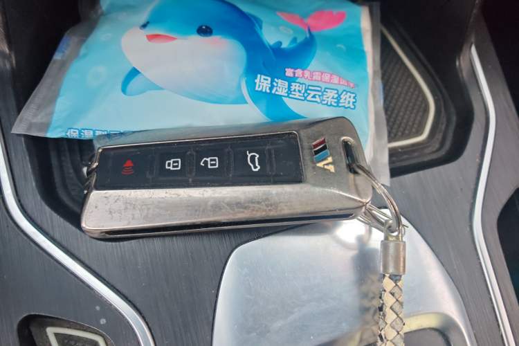 Used Wey VV6 2020 2.0T Two-Wheel Drive Smart Protection+
