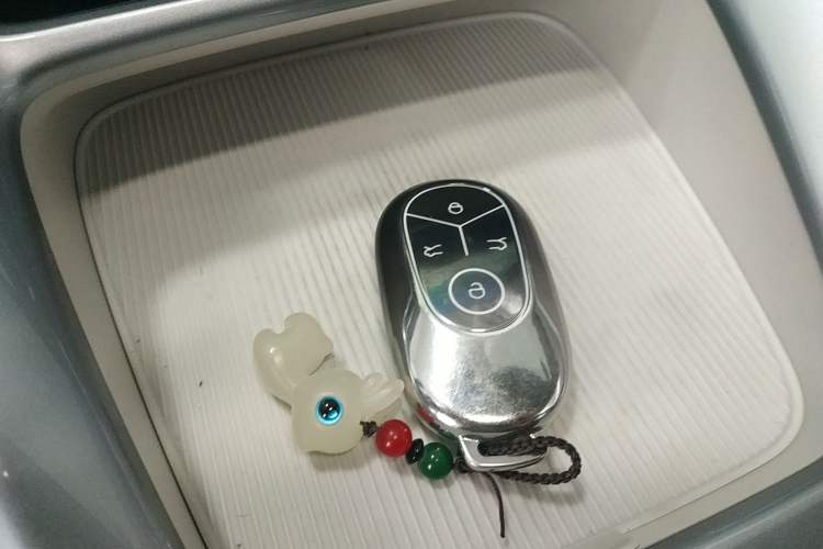 Used  Geome 2025 310km Youth Edition
