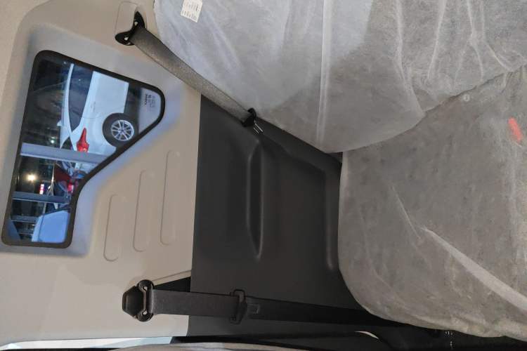 Used  Panda 2024 Panda Mini 200km Endurance Bear
