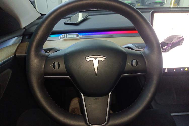 Used Tesla Model Y 2021 Standard Range Rear-Wheel Drive Version