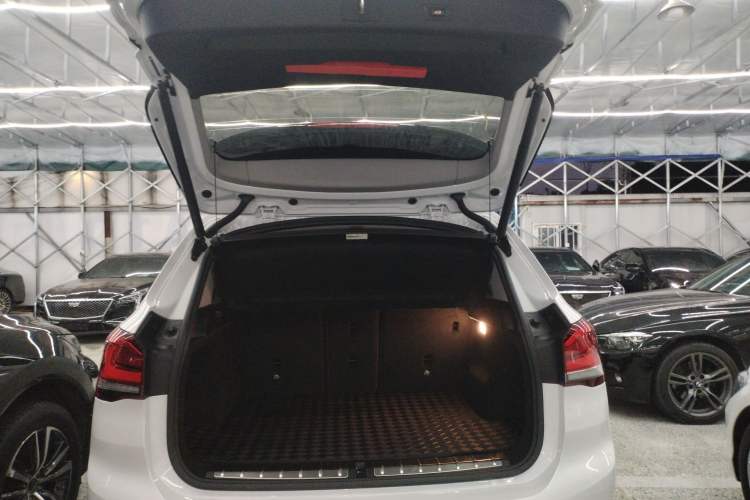 Used BMW X1 2020 sDrive20Li Premium Edition
