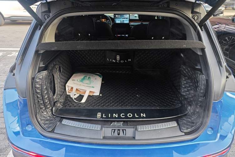 Used Lincoln Corsair 2020 2.0T Two-Wheel Drive Luxury Edition
