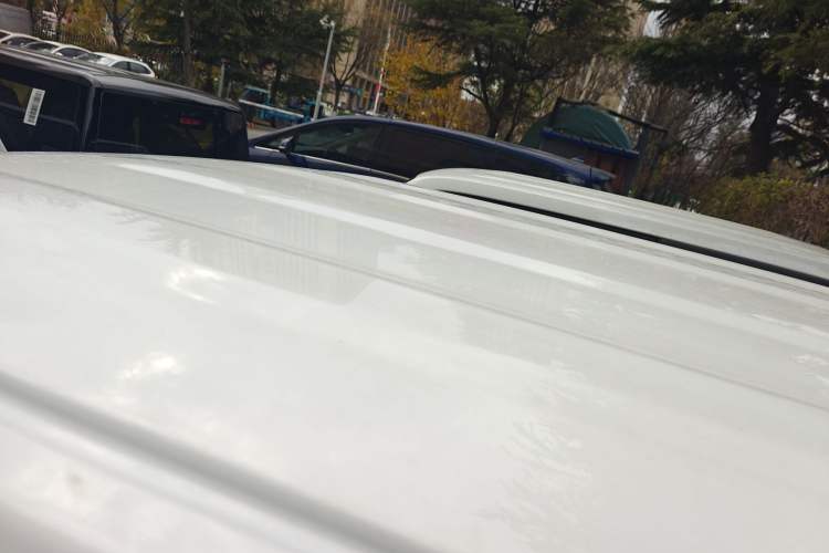 Used  Panda 2024 Panda Mini 200km Endurance Bear
