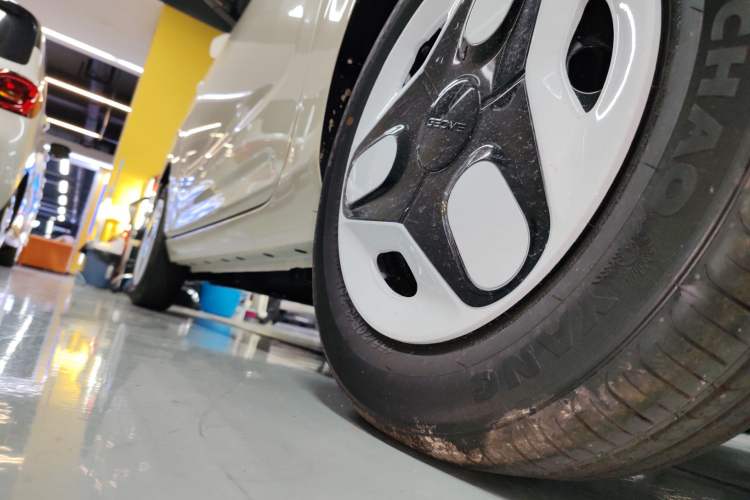 Used  Panda 2025 210 km – Yuanqi Bear
