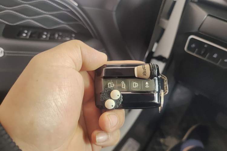 Used Tank 300 2024 2.0T Conqueror