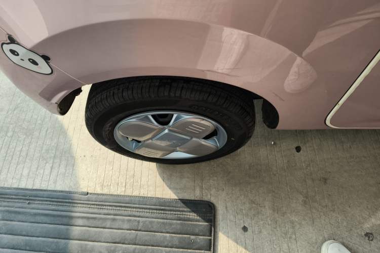 Used  Panda 2024 Panda Mini 200km Endurance Bear