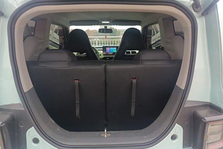 Used  Panda 2023 Panda Mini 200km Endurance Bear
