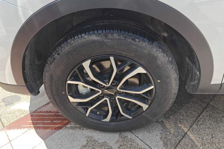 Used Haval H6 2023 National Trend Edition 1.5T Automatic Urban Version
