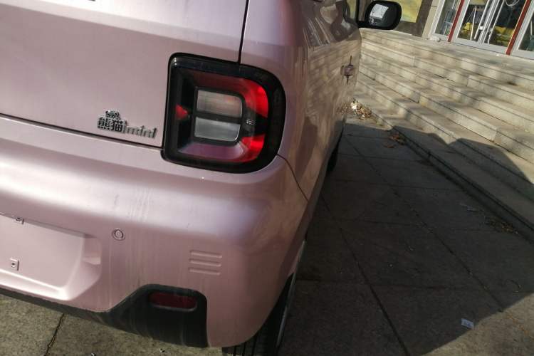 Used  Panda 2024 Panda Mini 200km Endurance Bear