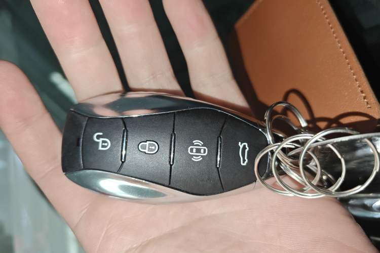 Used Hongqi E-HS9 2024 660 km Range Flagway Edition Six Seats
